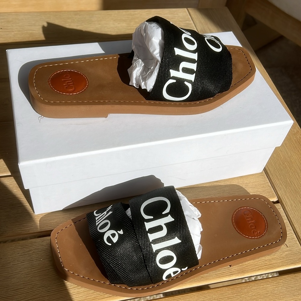 Chloe Woody Logo Slides